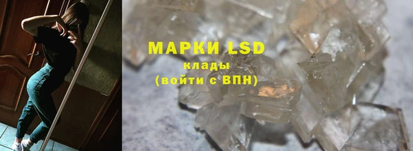 прущие грибы Инсар
