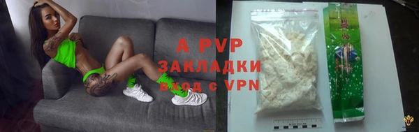 трава Карпинск