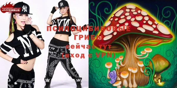 ECSTASY Алзамай